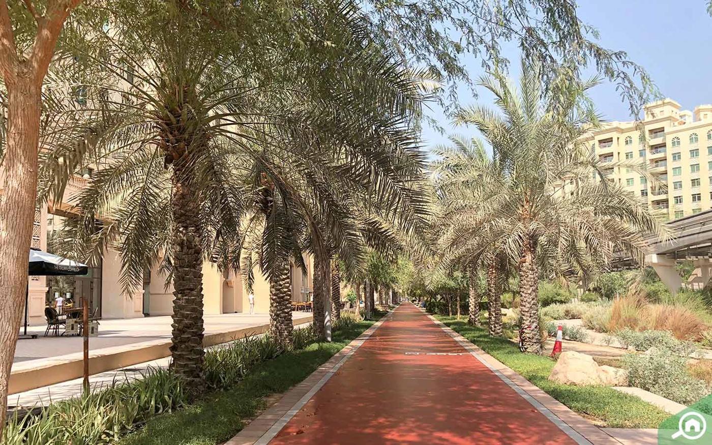 Kingdom of Sheba: Garden