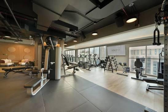 Mileo the Palm: Gym