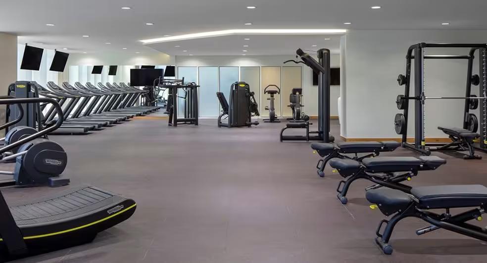 Palm View: Gym