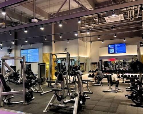The Opus: Gym