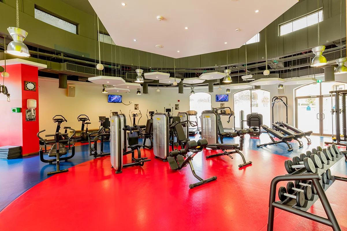 Shams: Gym