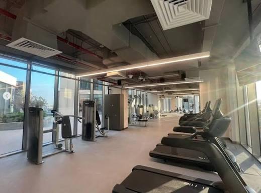 17 Icon Bay: Gym