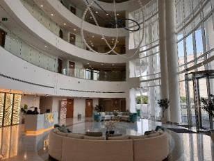 Azizi Mina: Lobby