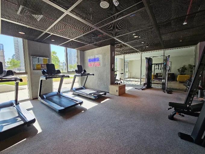 Collective 2.0: Gym