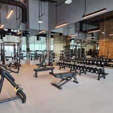 Forte: Gym