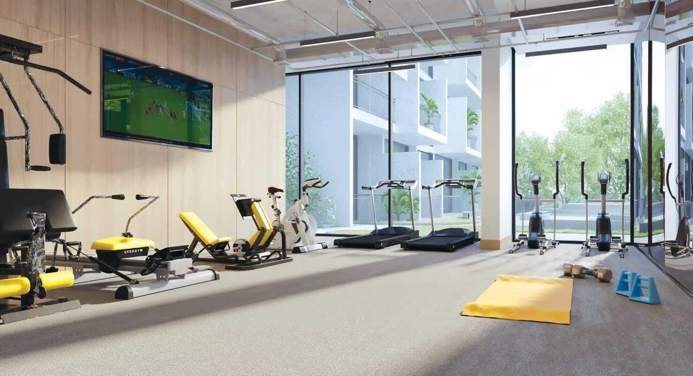 Luma21: Gym