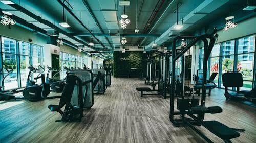 MAG 5 Boulevard: Gym