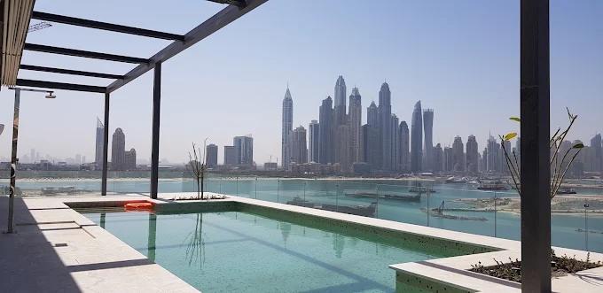 Palme Couture: Pool