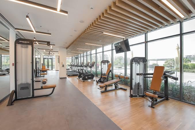 Park Ridge: Gym