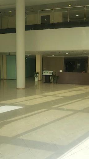 Schon Suites And Schon Residence: Lobby