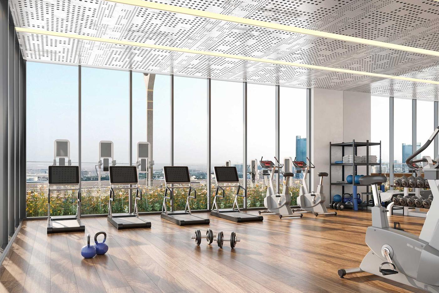 SKYZ By Danube: Gym