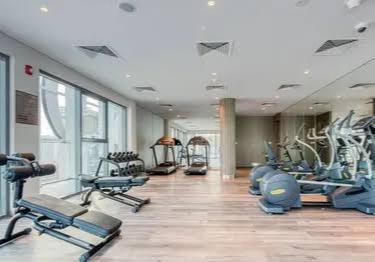 Sol Avenue: Gym