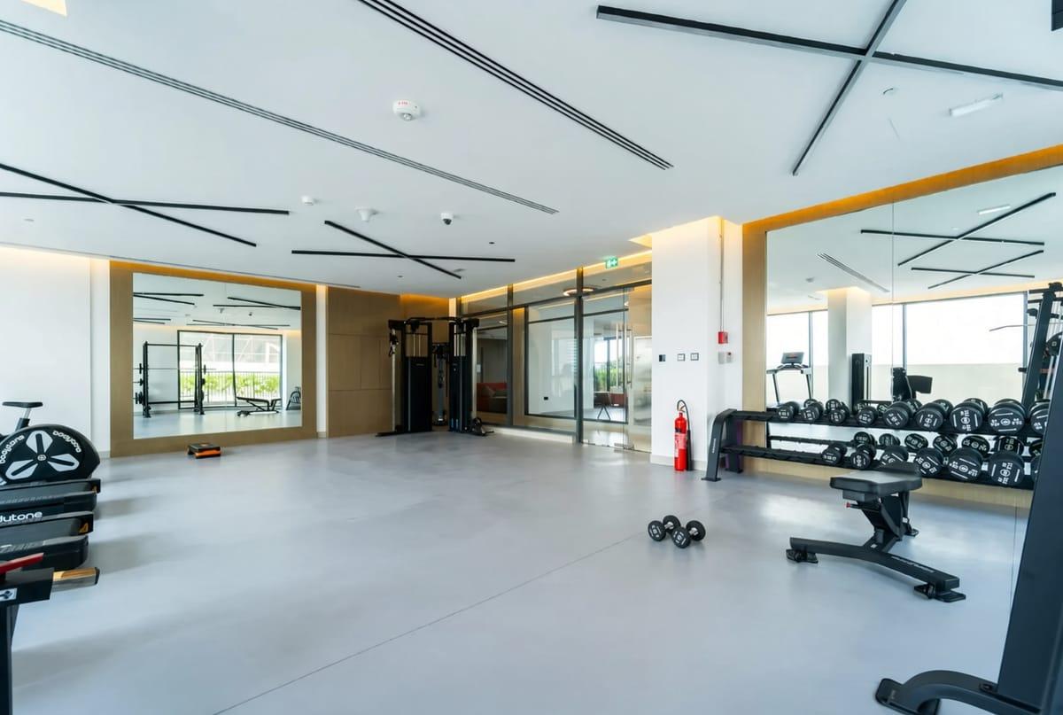 The Ivy: Gym