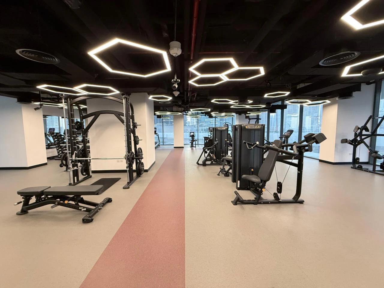 The Paragon: Gym