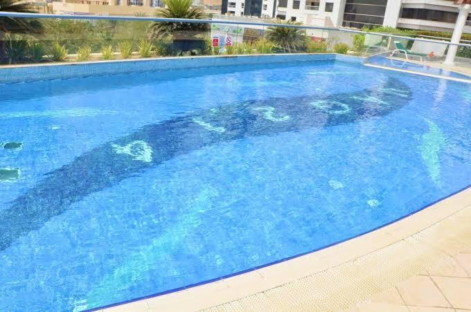MAG 214: Pool