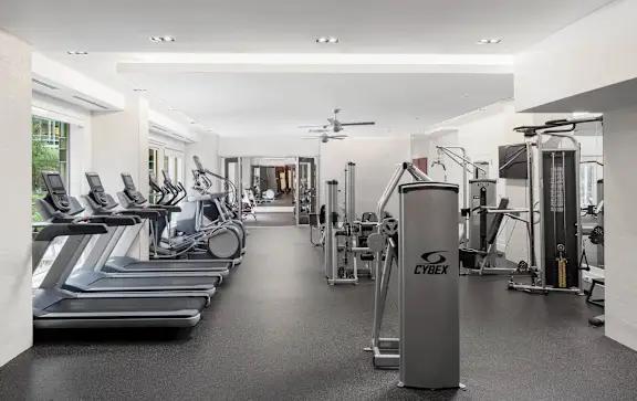 Avenue: Gym