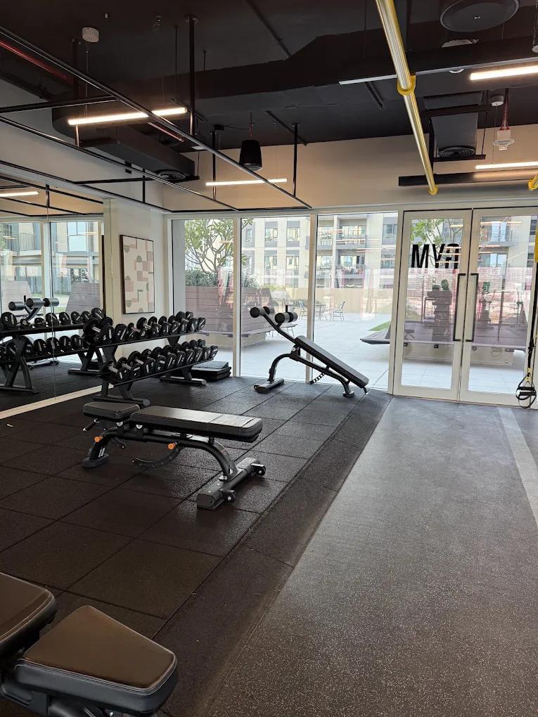 Socio: Gym